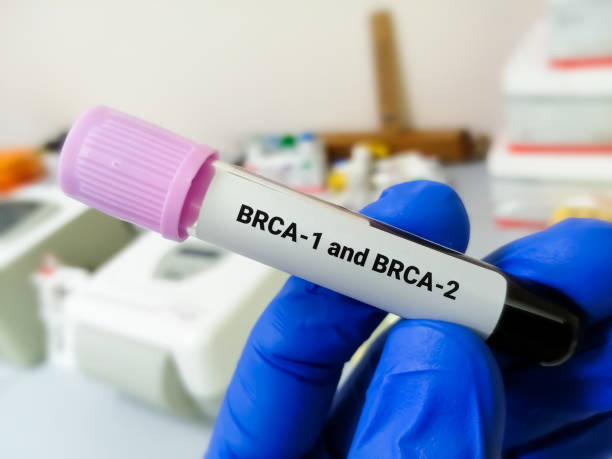 BRCA1 and BRCA2 are two genes that are important to fighting cancer called tumor suppressor genes stock photo