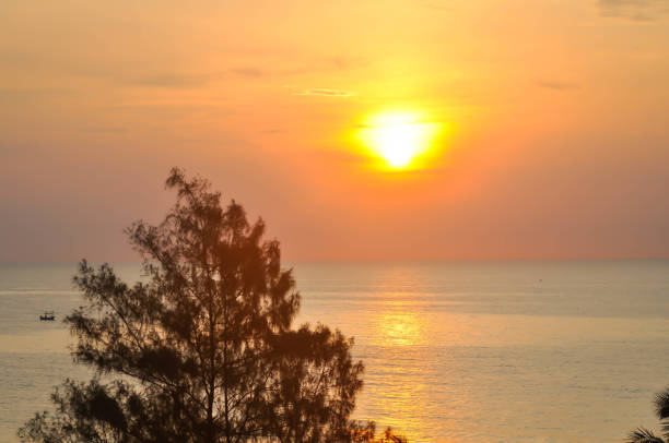 istock beach, sea and sun or sea background or sunset 1396505993