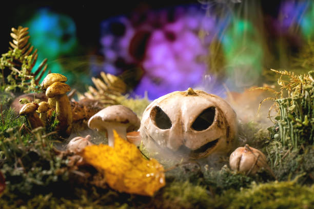 istock Jack-o-lantern in Fairy tale ambiance magical autumn forest 1396509148