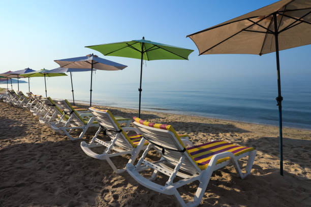 istock Many beach umbrellas and sunbeds at resort 1396509311