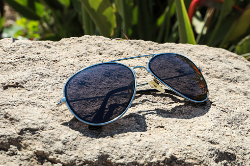 Aviator-style sunglasses set on rocks, with plants behind them