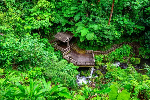 Observation deck on the Emerald Pool in Dominica in the middle of the jungle