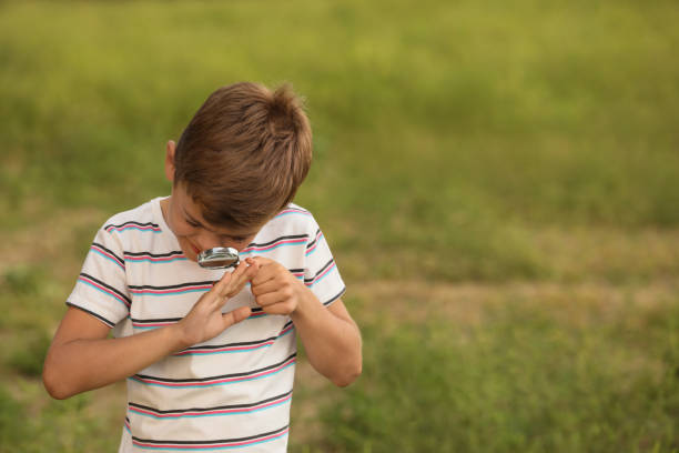 istock Cute little boy exploring ladybug outdoors, focus on magnifying glass. Child spending time in nature 1396513525