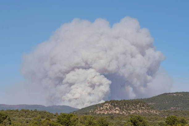 Calf Canyon Hermits Peak fire in New Mexico Smoke billowing from the Calf Canyon Hermits Peak fire in New Mexico. wildfire smoke stock pictures, royalty-free photos & images