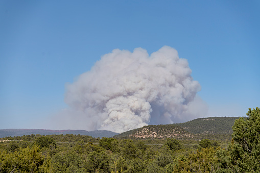 Smoke billowing from the Calf Canyon Hermits Peak fire in New Mexico.