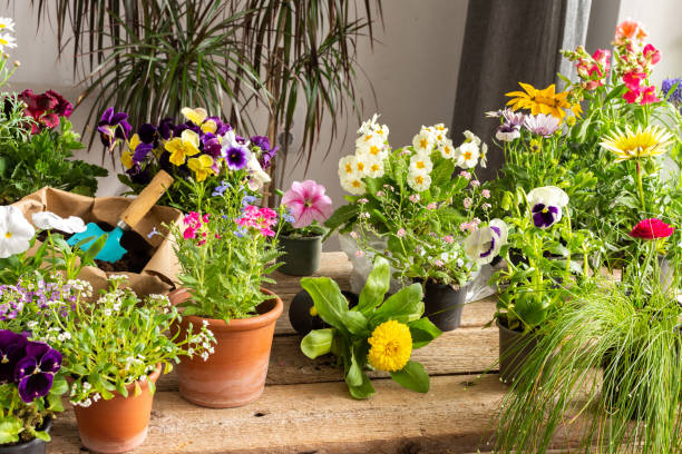 istock Spring decoration of a home balcony or terrace 1396514367