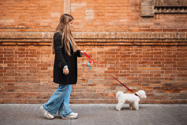 istock Girl walking with her dog next to a bricks wall 1396516756