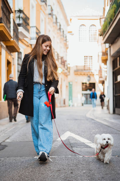 istock Girl walking with her cute puppy 1396516764