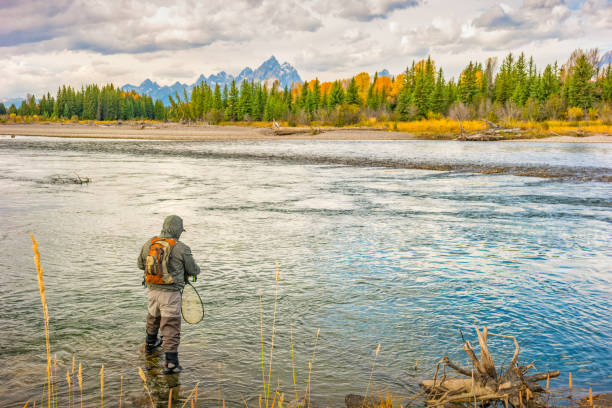 Grand Teton Wyoming Angling Fishing USA Man angling near the Teton Range in Wyoming, USA on a cloudy autumn day. snake river valley grand teton national park stock pictures, royalty-free photos & images