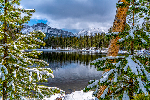 Snowy pines and Chaos Crags and Lassen Peak seen over Reflection Lake at Lassen Volcanic National Park.