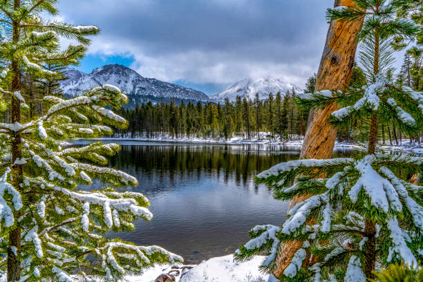 snowy pines and lassen peak - spring forest scenics reflection imagens e fotografias de stock