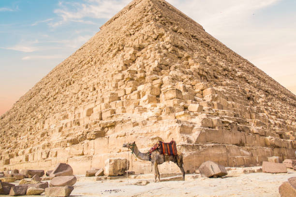 istock Camel against the background of the pyramids 1396520407