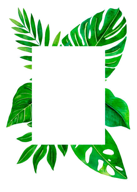 istock Watercolor frame with tropical leaves. Hand drawn greeting card design with exotic leaves and branches isolated on white background. 1396521355