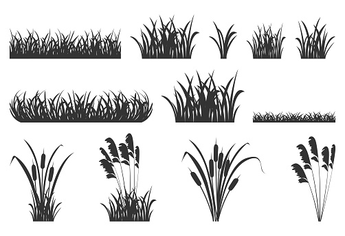 Grass silhouette with reeds. Set of vector illustrations black shadows marsh vegetation for design. Elements meadow and lake plants isolated on white background.