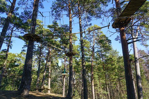 High rope and logs bridge in a pine forest, part of a ropes course in adventure park