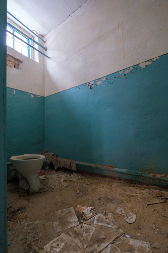 Toilet of abandoned apartment in Pripyat, Chernobyl Exclusion Zone, Ukraine
