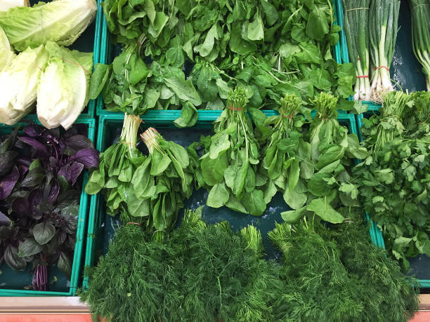 verduras de hoja orgánicas frescas en el puesto del mercado - vegetal con hoja fotografías e imágenes de stock