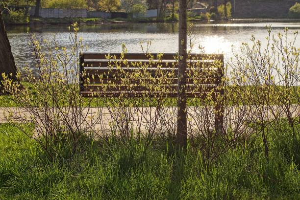 istock one brown bench stands on a gray sidewalk in green grass 1396526275