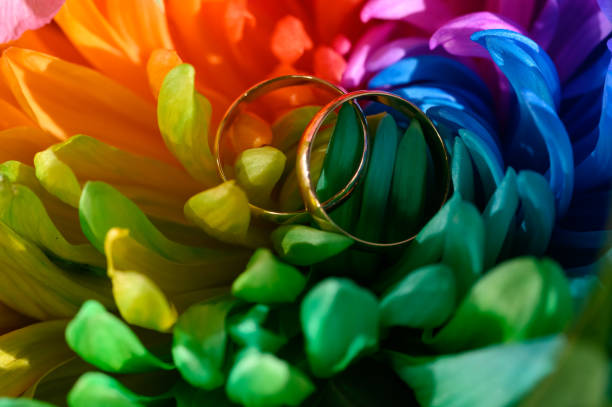 gold wedding rings on a multicolored flower close-up
