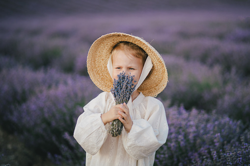 Cute little girl wearing white dress and natural straw hat holding bunch of flowers in a lavender field.