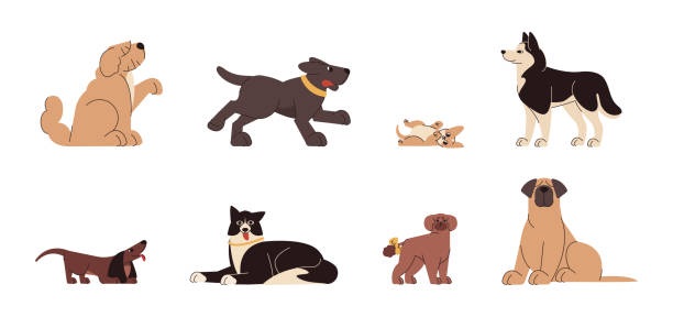 плоский набор собак различных пород и размеров - mixed breed dog illustrations stock illustrations