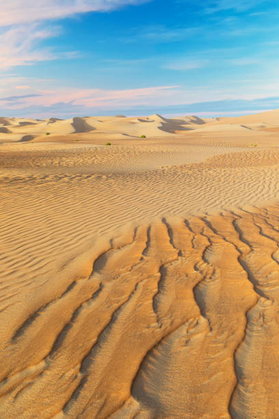 Dunes and colored sands of the Rub al-Khali desert