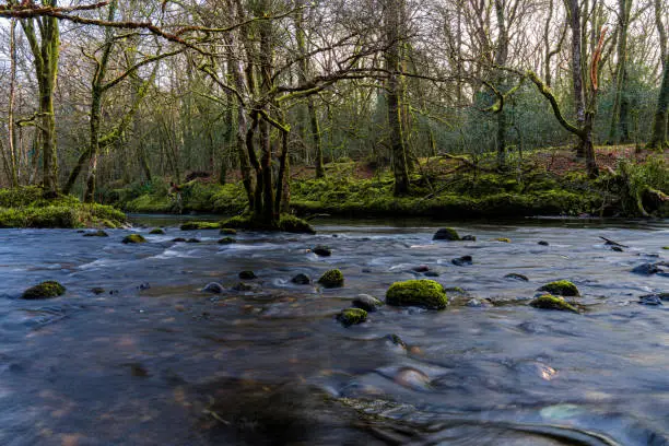 A river in the Hembury and Holne Woods, shot with a relatively long exposure to make the water look more smooth.