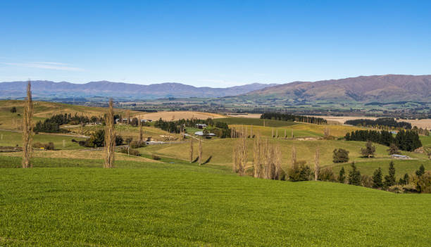 Mackenzie County Scene stock photo