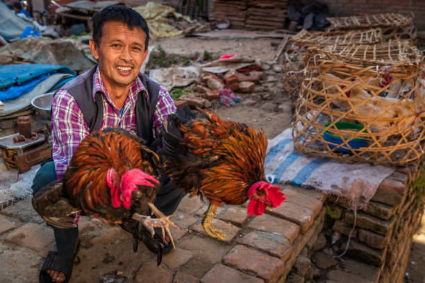 Nepali man selling chickens on local market.