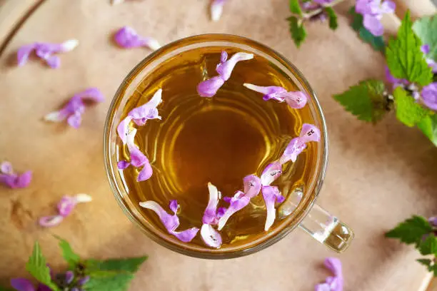 Top view of fresh purple dead-nettle flowers in a cup of herbal tea