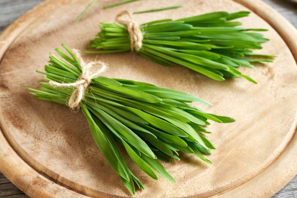 frisches grünes gerstengras auf einem holzschneidebrett - wheatgrass nutritional supplement antioxidant grass stock-fotos und bilder