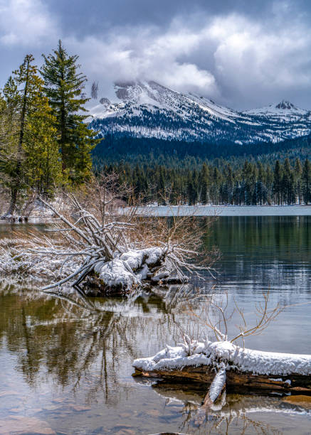 istock Snowy log in Manzanita Lake 1396550247