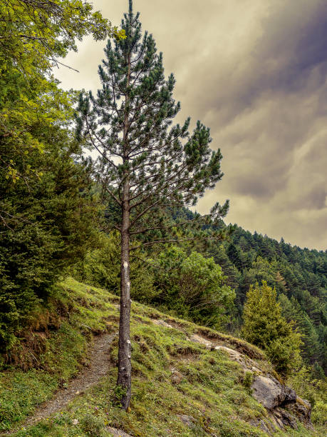 istock ordesa valley, landscape, waterfalls, horse tail, lost mountain 1396553785