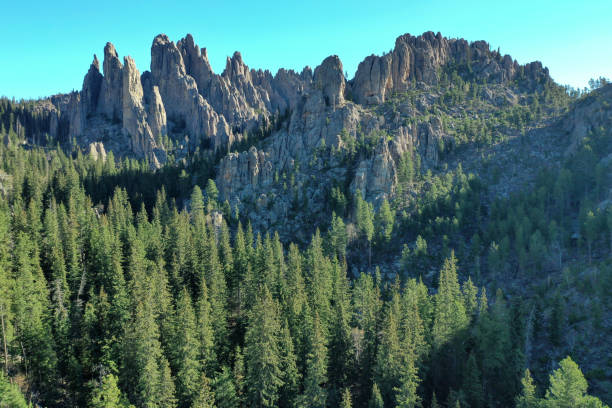 istock Dramatic spires in the forests of the Black Hills, Custer State 1396553934