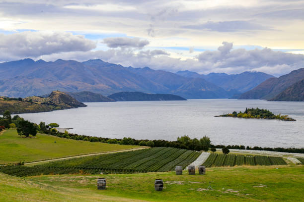 istock Vineyards on Lake Wanaka and the Southern Alps 1396554892