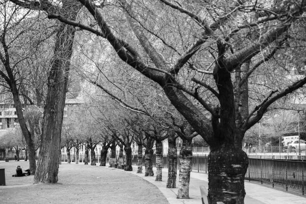 istock black and white snowy park landscape 1396558390