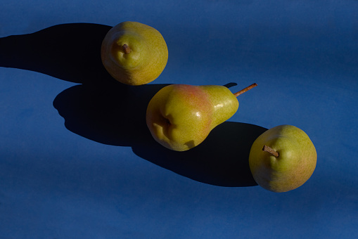 three ripe pears lit from the side by morning light, arranged on a blue textured surface - POA, SAO PAULO, BRAZIL.
