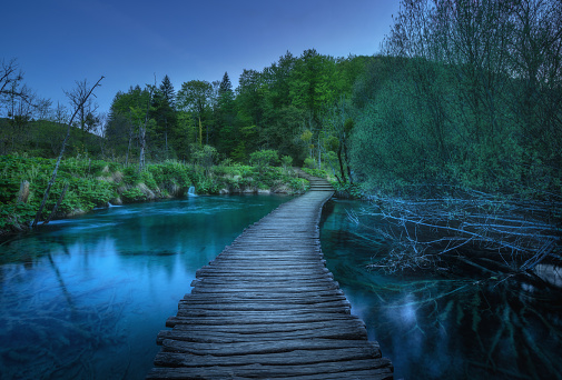Beautiful wooden path in green forest in Plitvice Lakes, Croatia at dusk in spring. Colorful landscape with trail in blooming park, trees, river, blue sky in summer at night. Trail in woods. Nature