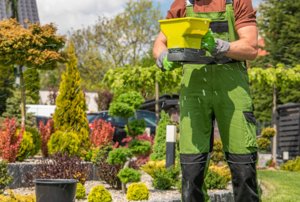 istock Grass Fertilization Performed by Professional Gardener 1396562664