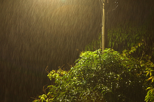 A focus scene on heavy rain during the dawn.