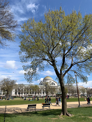 Washington DC, USA - March 26, 2022. People enjoying their time at National Mall with National Museum of Natural History in background in Washington DC, USA