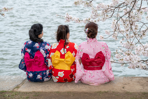Washington DC, USA - March 26, 2022. Three ladies in traditional Japanese costume sitting under blooming cherry tree by Tidal Basin in Washington DC, USA