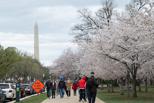 Traffic through Washington DC with Lincoln Memorial in the background