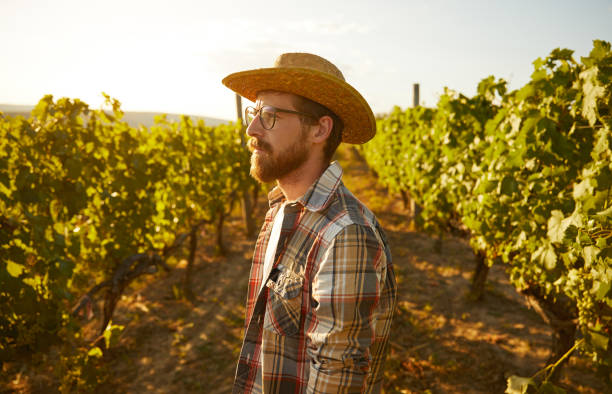 istock Famer in vineyard in sunset 1396569795