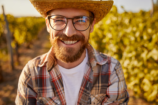Happy adult bearded agricultural business owner in checkered shirt and straw hat with eyeglasses smiling brightly and looking at camera, while standing in vineyard in summertime
