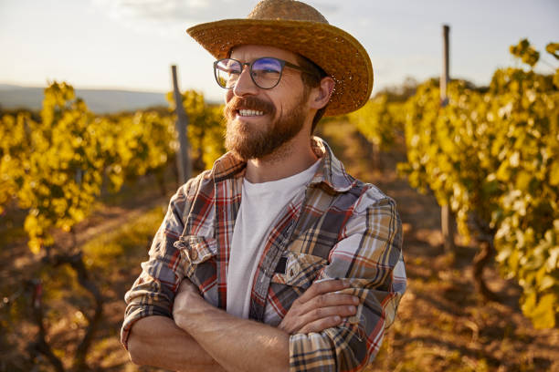 Confident male winemaker on vineyard stock photo