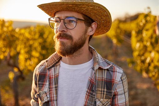 Young bearded male in straw hat and eyeglasses standing amidst lush trees in farm and looking away dreamily