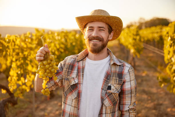 istock Happy man with grape cluster in vineyard 1396569826
