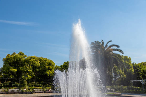 istock A fountain in a garden that spouts high water 1396584884