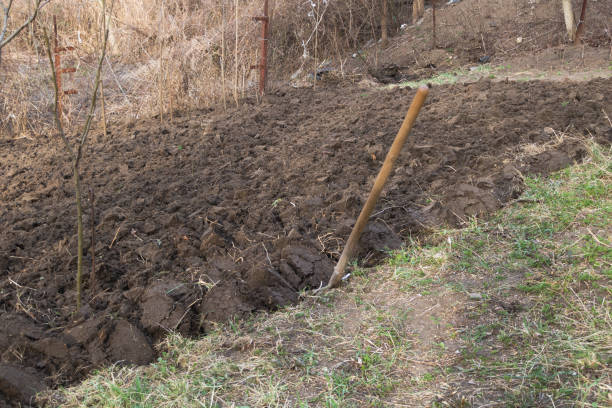 istock A shovel in the ground - Concept for digging the garden 1396585028